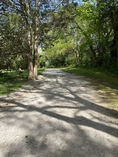 an empty road surrounded by trees and grass