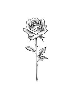 Mens Small Rose Tattoo, Mens Tatoos Ideas Neck, Rose Tattoo Designs Men, Small Rose On Hand Tattoo, Single Rose Tattoo Men, Rose On Chest Tattoo, Risk Taker Tattoo Design, Rose Small Tattoo Design, Chest Tattoo Rose