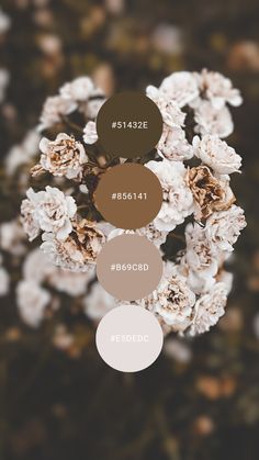 flowers with brown and white labels on them are shown in the middle of an image