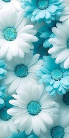 many white and blue flowers are arranged together