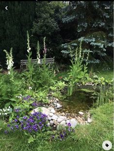 there is a small pond in the middle of some grass and flowers on the ground