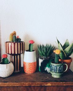 some potted plants are sitting on a table