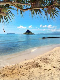 the beach is clear and blue with waves coming in from the water, under a tree branch