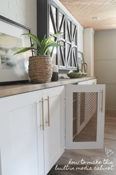 a kitchen with white cabinets and a potted plant on top of the cupboards