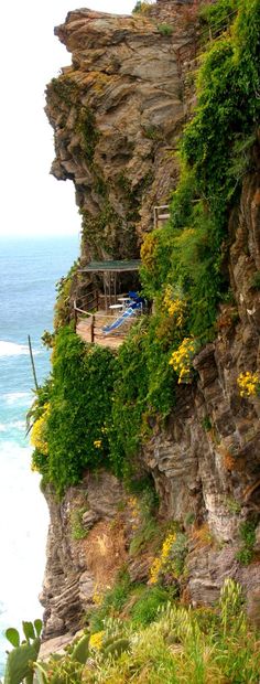 the cliff is covered in plants and flowers