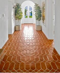 a hallway with an arched doorway and potted plants