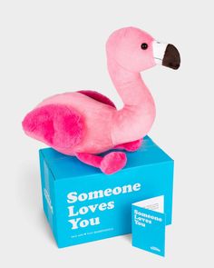 a pink stuffed flamingo sitting on top of a blue box that says someone loves you