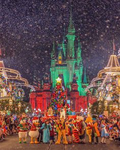 people standing in front of a christmas tree and castle at disney world during the holidays