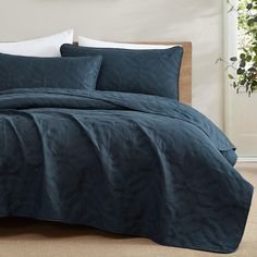 a bed with blue comforter and pillows in a room next to a plant on the floor