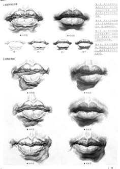 an image of lips drawn in pencil with chinese writing on the bottom and bottom half