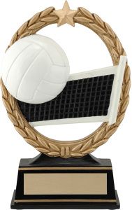 a volleyball trophy with a ball in the middle and a star around it on a white background