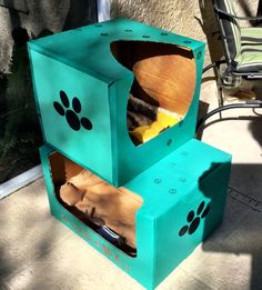 a blue cardboard box with paw prints on it and a cell phone in the inside