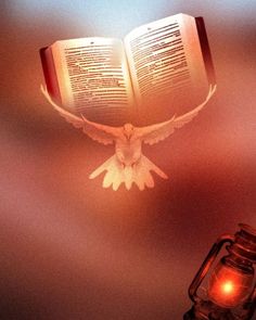 an open book flying through the air next to a lantern and a bird with its wings spread