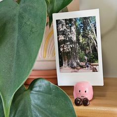 a pink pig sitting on top of a wooden table next to a potted plant