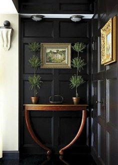 two potted plants sit on top of a wooden table in front of a black wall