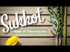 the words subbott are next to two stalks of asparagus on a wooden background