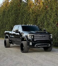 a black truck is parked in front of some trees