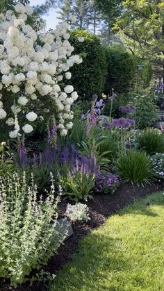 a garden filled with lots of white flowers