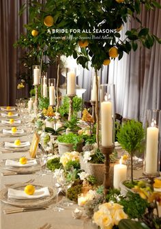 a long table is set with candles, plates and lemons for an elegant dinner