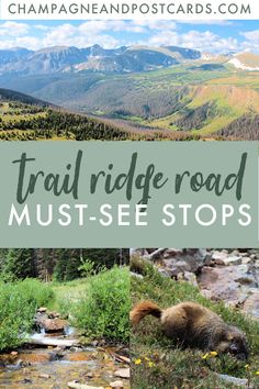 the trail ridge road with mountains in the background and text overlay that reads, trail ridge road must see stops