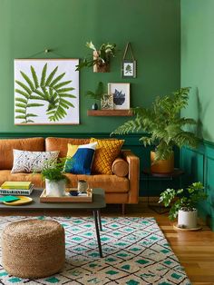 a living room with green walls and plants on the wall in front of the couch