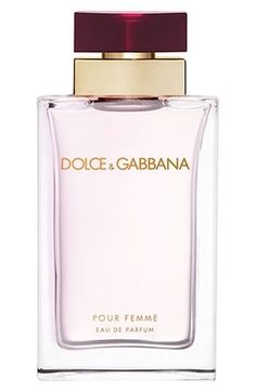 Exquisita!, Dolce And Gabbana Fragrance