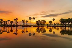 palm trees are reflected in the still water at sunset, with an orange and pink sky