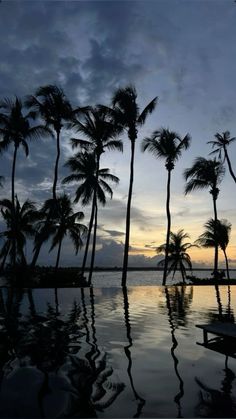 palm trees are reflected in the water at sunset on an ocean front resort swimming pool