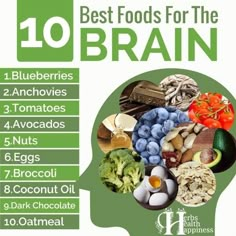 Foods For The Brain, Good Brain Food, Brain Healthy Foods, Brain Foods, Brain Boosting Foods, Mind Diet, Brain Memory, Green Tea Benefits