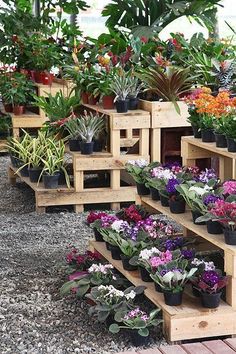 many potted plants are arranged on wooden pallets