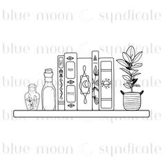 a shelf with books, plants and bottles on it that says blue moon sundiale