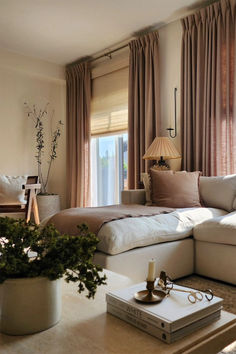 a living room filled with furniture and a large window covered in draping next to a plant