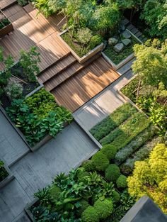 an aerial view of a garden with trees and plants