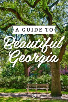 a park bench under a tree with the words a guide to beautiful georgia