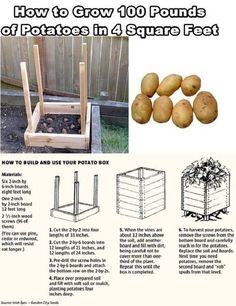 the instructions for how to grow 100 pounds of potatoes in 4 square feet, including