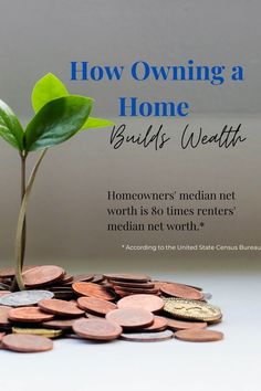 a plant sprouting from a pile of coins with the words how owning a home build's worth