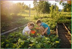 two young children in a garden with plants