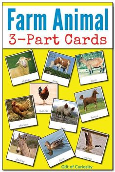 farm animal 3 - part cards with pictures of animals and their names on the front