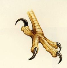 an animal with long horns and claws on it's back legs is depicted in this drawing