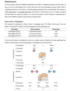 the diagram shows different types of substances and their names, including hydrogens, water, and