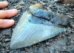 a piece of metal sitting on top of gravel next to a person's hand