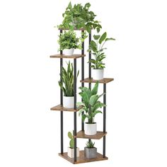 a set of four shelves with plants on each shelf and two potted plants in the middle