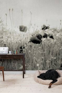 #wallpaper #interiordesign #homedecor #vintage #poppyfield #natureinspired #dreamydecor Best Living Room Wallpaper, Black White Wallpaper, Home Office Black, Field Wallpaper, Wallpaper For Walls, Wallpaper Inspiration, Soft Beauty, Large Scale Wallpaper, Office Black