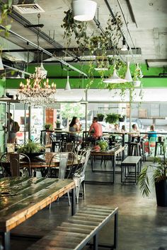 people sitting at tables in a restaurant with plants hanging from the ceiling