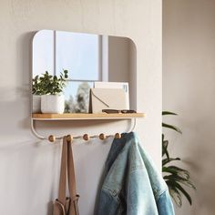 there is a mirror and coat rack on the wall next to a potted plant