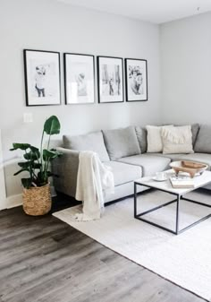 a living room filled with furniture and pictures on the wall