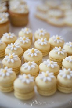 small cupcakes with white frosting and daisies are on a plate next to each other