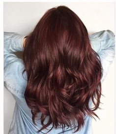 Dark Cherry Hair Color, Dark Cherry Hair, Cherry Coke Hair, Cherry Cola Hair, Black Cherry Hair, Cherry Hair Colors, Red Hair With Highlights, Black Red Hair, Cherry Coke