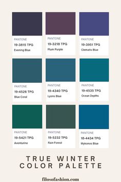 true winter color palette True Winter Colour Palette Outfits, Winter Pallet Color, True Winter Color Palette Outfits, Cool Winter Color Palette Outfits, True Winter Palette, True Winter Color Palette