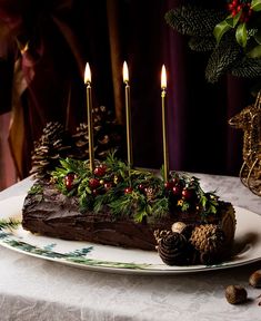 there is a cake with candles on it and pine cones in the middle, along with other decorations